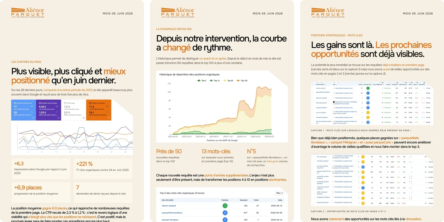 Bilan de juin d’Aliénor Parquet : chiffres du mois, historique des positions dans Google et mots-clés en première page.
